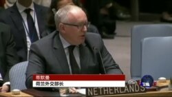 VOA连线：联合国安理会通过决议 要求立即对马航被击落事件进行全面调查