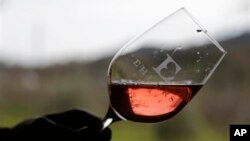 지난 1월 미국 캘리포니아에서 열린 한 자선 행사에서, 참석자들이 행사에 참가한 와인업체의 신제품을 시음하고 있다.