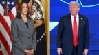 Bà Kamala Harris (trái) và ông Donald Trump (phải) đều đang vận động trong những ngày còn lại trước khi nước Mỹ tổ chức tổng tuyển cử hôm 5/11/2024 (Photo: SAUL LOEB và CHANDAN KHANNA / AFP).