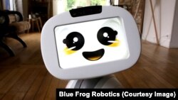 Blue Frog Robotic