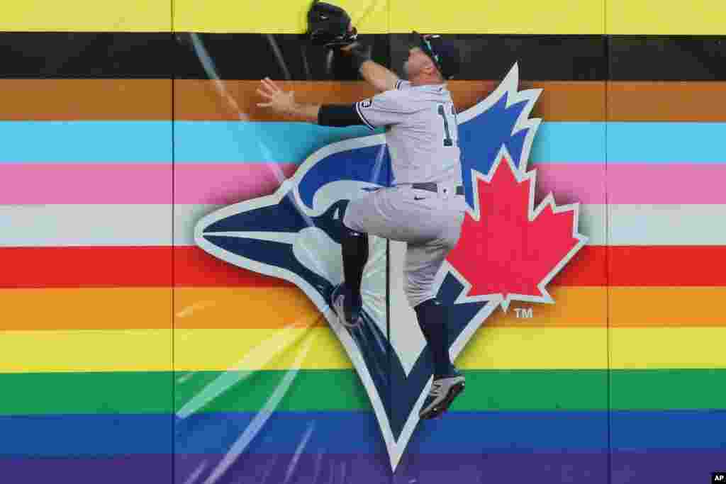 New York Yankees outfielder Brett Gardner goes up for a homerun ball hit by Toronto Blue Jays Cavan Biggio during the fifth inning of a baseball game, June 16, 2021, in Buffalo, New York.