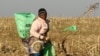 A woman works in maize fields on a resettled farm near Chinhoyi, Zimbabwe