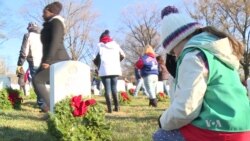 Thousands of Volunteers Place Wreaths at Soldiers Graves