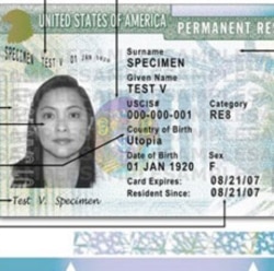 Example of a green card