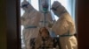 China Not Tracking Recovered Coronavirus Patients Who Test Positive Again