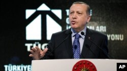 Turkish President Recep Tayyip Erdogan addresses a meeting in Ankara, Turkey, Feb. 11, 2016.