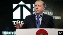 Turkish President Recep Tayyip Erdogan addresses a meeting in Ankara, Turkey, Feb. 11, 2016.