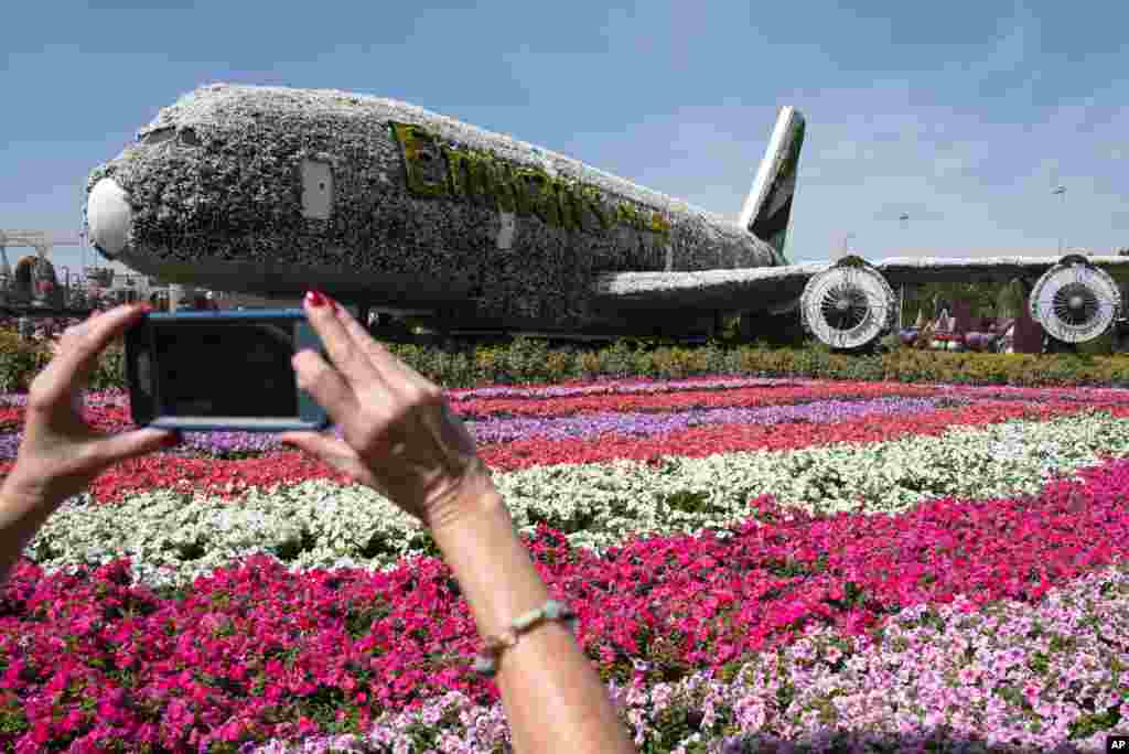 A tourist takes a picture of a mockup of an Emirates Airbus A380 jetliner made of flowers at Dubai Miracle Garden in Dubai, United Arab Emirates.