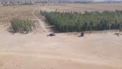 Mali: Kayes marala kounkoda mi be wele ko " forêt du Baoulé" eaux et forêt baara den mogo fila fagara.