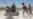US-led coalition to wrap up operations vs. Islamic State in Iraq