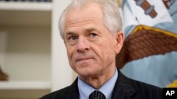 National Trade Council adviser Peter Navarro waits on President Donald Trump in the Oval Office at the White House, March 31, 2017, in Washington. 