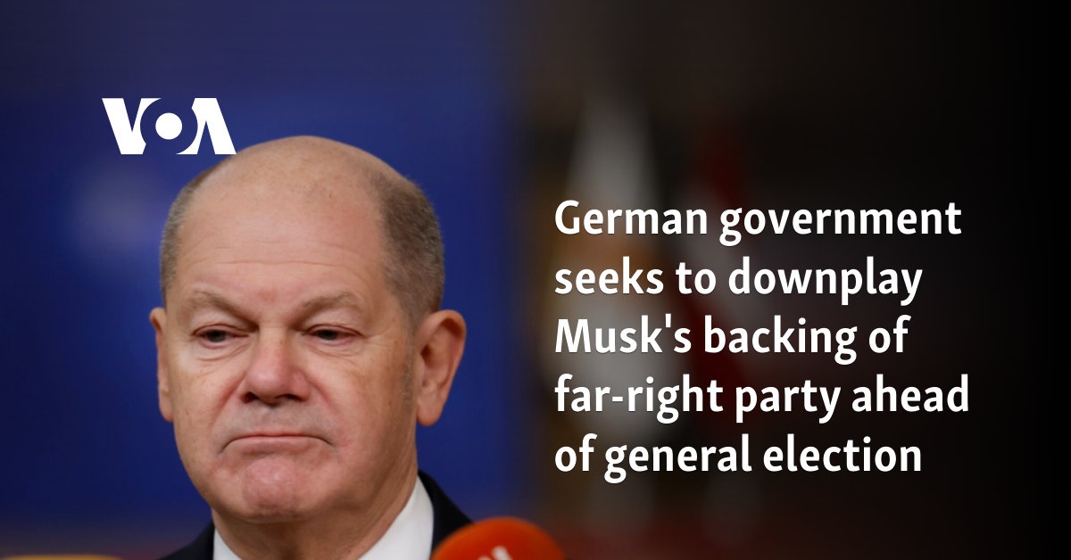 German government seeks to downplay Musk's backing of far-right party ahead of general election 