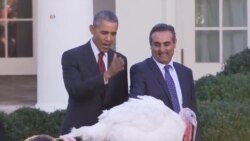 obama turkey