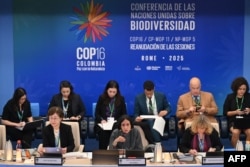 Menteri Lingkungan Hidup Kolombia Susana Muhamad (tengah) dalam pembukaan konferensi keanekaragaman hayati COP16 di markas besar Organisasi Pangan dan Pertanian (FAO) PBB di Roma, 25 Februari 2025. (Alberto PIZZOLI / AFP)