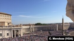 Gungun jama'a da suka halarci bikin nada Mother Teresa waliyyiya, Lahadin nan a dandalin St Peters.