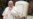 El Papa acentúa críticas a Israel y califica de "vergonzosa" la situación en Gaza