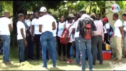 Ayiti: 6 Mil Pye Bwa Plante nan Berèt Gras ak Asistans Rotary Club nan Okay