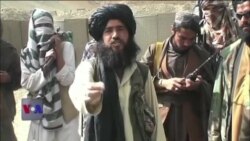 افغان حکومت اور طالبان کے درمیان بات چیت پر زور