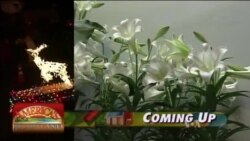 Buenos Días América 