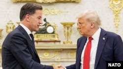 دیدار دونالد ترامپ، رئیس جمهوری آمریکا، و مارک روته، دبیرکل ناتو (آرشیو - تیر ۱۴۰۴)