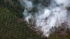 FILE - Pembakaran hutan di dekat perkebunan kelapa sawit di Kabupaten Kapuas, dekat Palangka Raya, Kalimantan Tengah, 30 September 2019. (Reuters). 