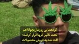 گردهمایی روز ماریجوانا هم تحت تاثیر کرونا قرار گرفت؛ افت شدید فروش محصولات