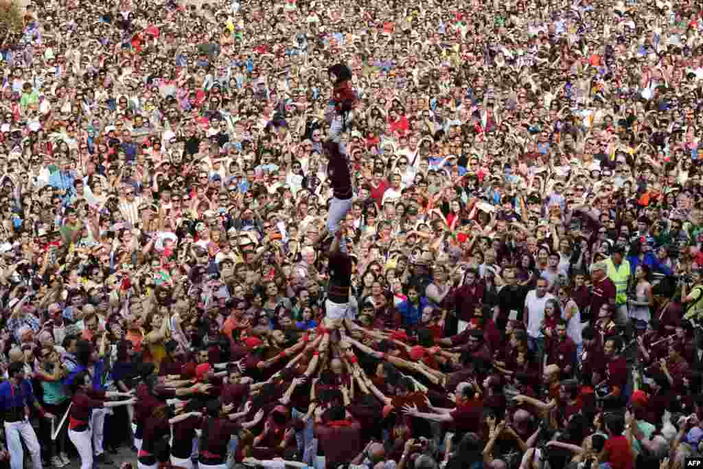 Castellers "Colla Jove de Barcelona" form a human tower during a demonstration at the festival of the patron saint of Barcelona "The Virgin of Mere" at Sant Jaume square in Barcelona, Spain. 