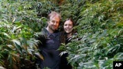 Chip et Jessica Baker dans leur pépinière de cannabis à Baker's Medical, mercredi 26 février 2020, à Oklahoma City, Oklahoma, États-Unis. 