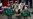 South Korea Santa Penguins Bring Christmas Cheer