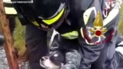 Des pompiers italien sauvent un chiot