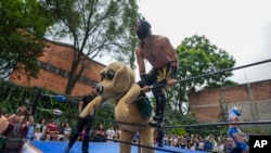 Wisin, el "perrito luchador" se cuelga de las cuerdas durante un evento de lucha libre en el Instituto de la Juventud, en la Ciudad de México, el 25 de julio de 2024.