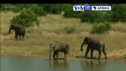 Manchetes Africanas 5 Setembro 2018: Tomou posse parlamento no Zimbabué