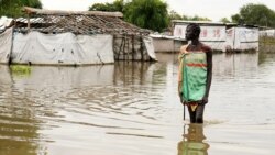 Snake Bites Spike in South Sudan’s Jonglei State