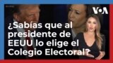 ¿Sabías que al presidente de EEUU lo elige el Colegio Electoral?