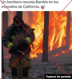 Captura de pantalla de publicación viral en X, las imágenes fueron generadas con IA.