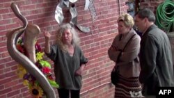 Inspirativna priča umetnice Gini Rafner