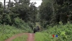 ဆီယာလီယွန်းနဲ့ အီဘိုလာ