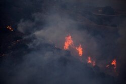 미국 서부 캘리포니아주 산불