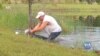 Мешканець Флориди врятував з пащі алігатора свого собаку і став героєм ЗМІ та соцмереж. Відео