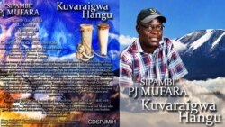 Music Feature: Pedzisai Mufara