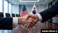 국의 한반도 전문가들이 한국의 대미 투자 확대와 미국 기업에 대한 규제 문제 해결을 촉구했다.