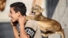 In Gaza, Man Keeps Baby Lions as Pets
