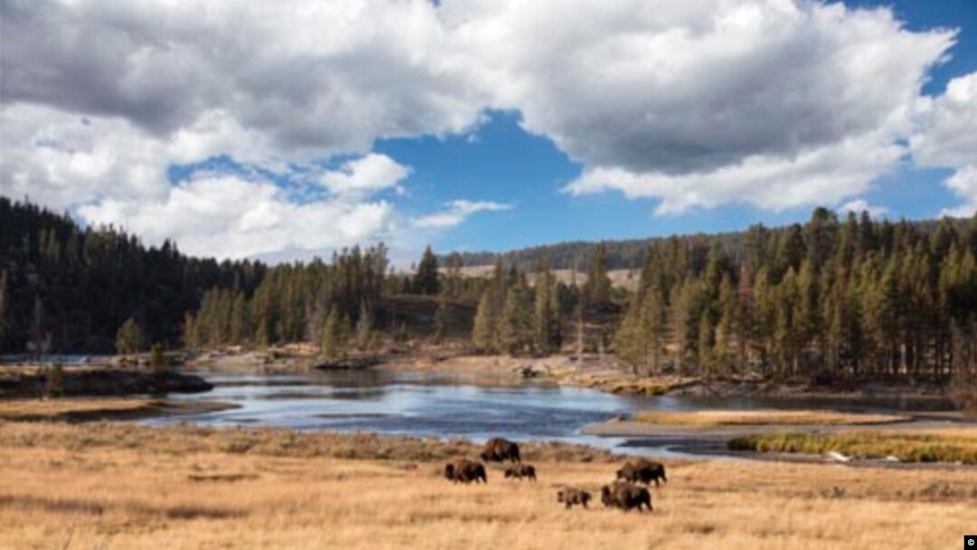 Yellowstone, taman nasional tertua di AS. (Carol M. Highsmith, Koleksi Perpustakaan Kongres)
