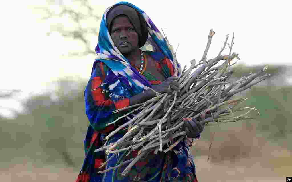 A newly arrived refugee woman from Baidoa in Somalia carries firewood as they camp outside Ifo refugee camp in Dadaab, near the Kenya-Somalia border, July 30, 2011. (Reuters)