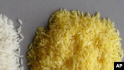 It's makers argue that vitamin A-enriched rice could prevent blindness in children.