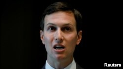 Jared Kushner, Prezident Trampning maslahatchisi va kuyovi