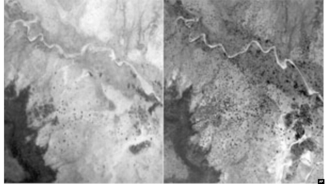 Aerial photography shows the dramatic increase in trees (in black) on land near Galma, Niger, from 1975 (left) to 2002 (right).