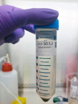 Seorang teknisi lab Biobot Analystics menunjukkan sampel air limbah, Juni 2020.