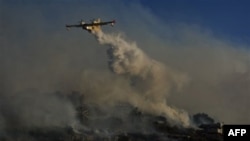 Cháy rừng tiếp tục hoành hành ở Israel