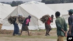 Grupo de mulheres carregando lenha para a cozinha no campo de refugiados internos queniano de Tumaini aberto a seguir a violencia pos-eleitoral de 2007-2008